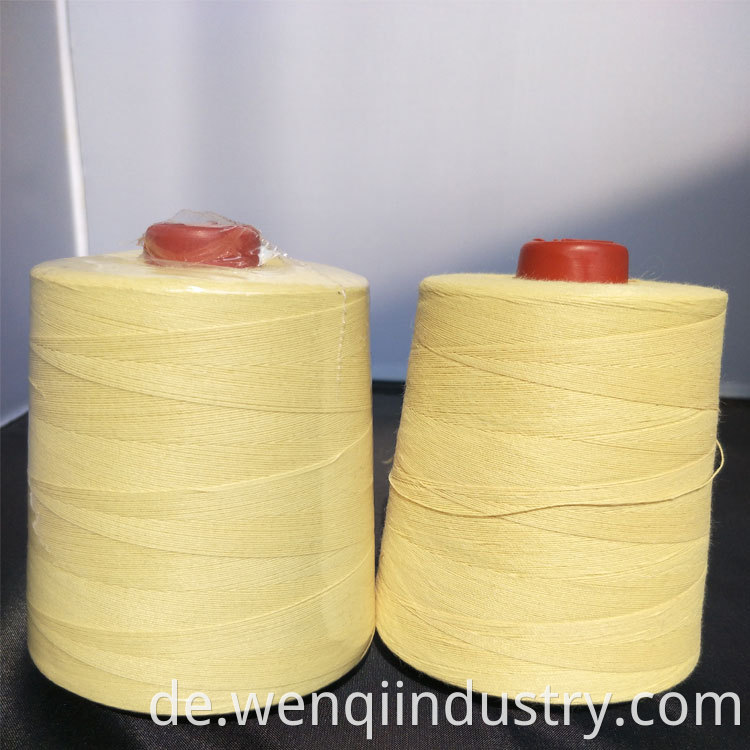 Para Aramid Yarn